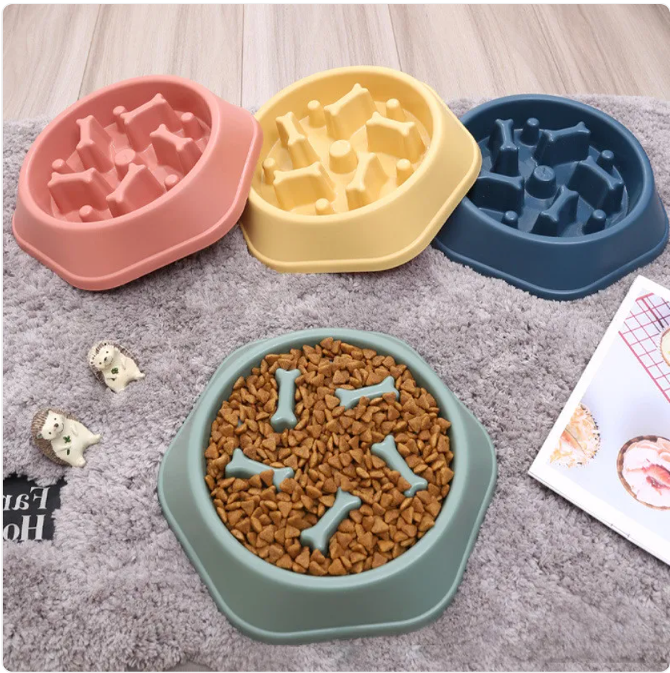 PacePup™ Slow Feeder Dog Bowl