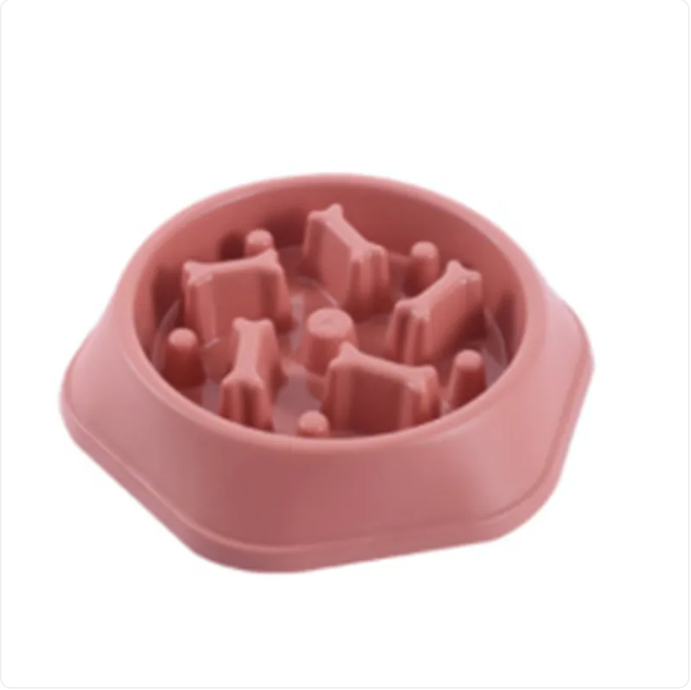 PacePup™ Slow Feeder Dog Bowl