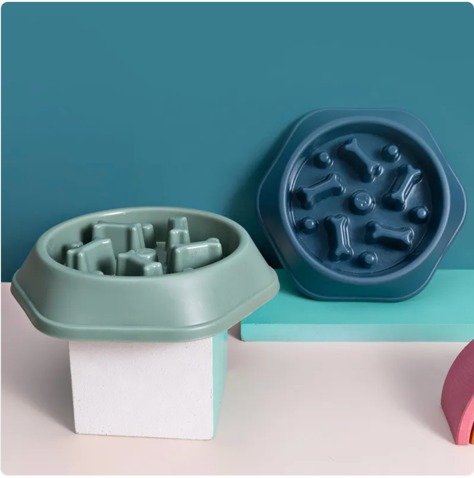 PacePup™ Slow Feeder Dog Bowl